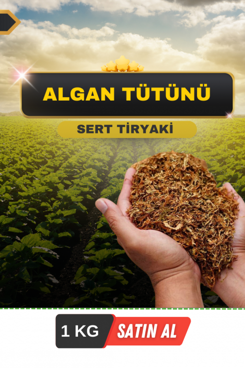 Algan Tütünü Algan Tütünü